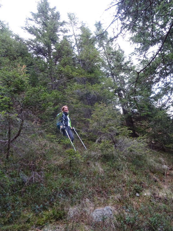 escursione ai Laghi di San Pancrazio e Anterano (BZ)